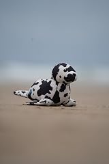 Petface Planet Ocean Cycle Sienna Seal Plush Dog Toy with Squeaker view 5
