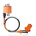 1PZ BB3-OW1 Performance Ignition Coil Plug Replacement for Yamaha Blaster Yfs200 YFS 200 1988 1989 1990 1991 1992 1993 1994 1995 1996 1997 1998 1999 2000 2001 2002 2003 2004 2005 2006 NEW