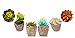 Set of 6 Artificial Succulent Plants – Fake Plants with Grey Ceramic Planters for Decoration