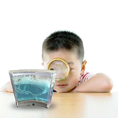 Ant Farm W/ LED Light. Enjoy A Magnificent Ecosystem. Great For Kids & Adults. The Best Ant Habitat W/ Enhanced Blue Gel. Evviva Educational & Learning Science Kits. Live Harvester Ants Not Included