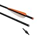 16 18 20 Inch Carbon Crossbow Bolts Bio Archery with 4 Inch Vanes(Pack of 12)