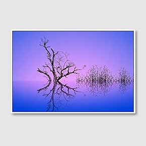 Framed Canvas Wall Art for Living Room, Bedroom Animals Canvas Prints for Home Decoration Ready to Hang - 16x24 inches