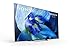 Sony XBR-65A8G 65 Inch TV: BRAVIA OLED 4K Ultra HD Smart TV with HDR and Alexa Compatibility – 2019 Modelthumb 4