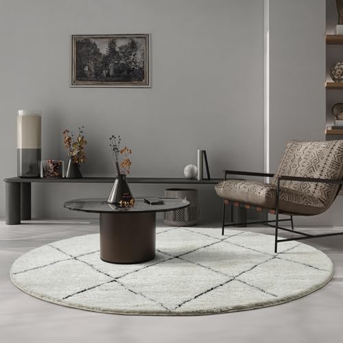 the carpet Bahar Shaggy – Weicher Hochflor Teppich, moderner Flauschiger & kuscheliger Wohnzimmer Teppich, eleganter Designer Shaggy, pflegeleicht und