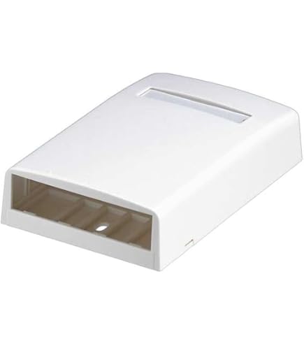 Amazon.com: Panduit NK2BXWH-A 2-Port Surface Mounting Box for LD3