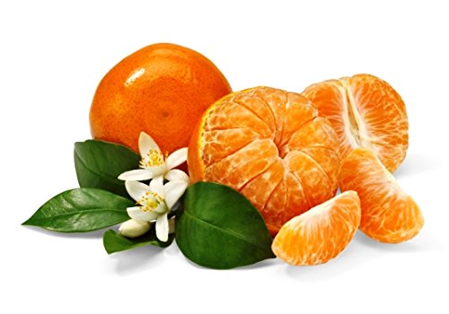 Honey Tangerines lb Box Amazon Com Grocery Gourmet Food