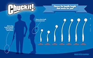 Producto: Chuckit! Flying Squirrel Spinning