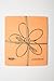 Skoy cloth, Mixed colors w/ flower (4-pk)