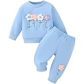 Twosya Toddler Girl Fall Winter Clothes Baby Crewneck Floral 3D Embroidery Sweatshirts Pants Set Long Sleeve Outfits Set