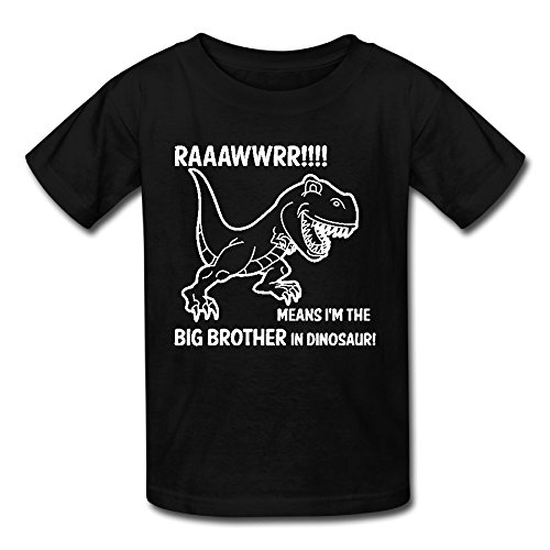 Infant Big Boys' Rawr! Means I'm The Big Brother In Dinosaur Clothes Summer Short-Sleeve Cotton Tees