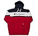 Champion Mens Big and Tall Full Zip Hoodie Classic Embroidered Logo