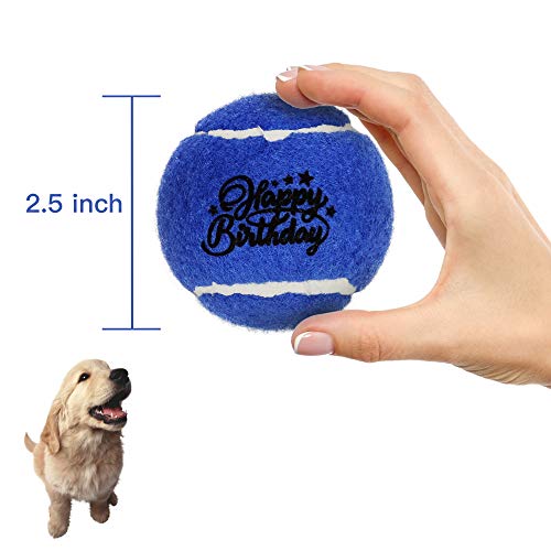 PIKASEN Deluxe Dog Gift Box with 4 Squeak Tennis Balls and 6 NonSqueak Dog Tennis Ball 1 Dog