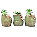Ascrafter 5 Pcs 2.5 inch Ceramic Owl Succulent Planter Pot Succulent Container, Cactus Plant Pot, Mini Flower Pot With Holes