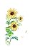Buds Case/Buds + Plus Case Carrying Cover Skin Silicone White Wireless Cute with Keychain Clip Sunflower Compatible with Buds/Buds Plus + Bud Pods Airbuds Earbuds
