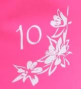 Ultra Dry Adventurer Premium 5 L Waterproof Dry Bag Pink with Phone Case view 9