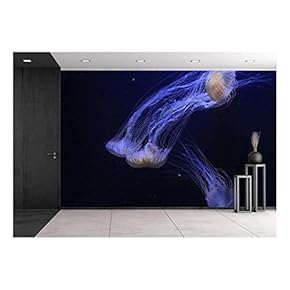 Jellyfish Under Deep Ocean - Removable Wall Mural | Self-Adhesive Large Wallpaper - 66x96 inches