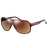 Amanda Women's 100% UV Protection Wayfarer Sunglasses