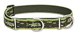 LupinePet 1-Inch Brook Trout 19-27-Inch Martingale Combo Collar for Large Dogs