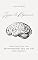 Livro Jejum de Dopamina: Como Equilibrar sua Neurotransmissão para uma Vida Mais Saudável