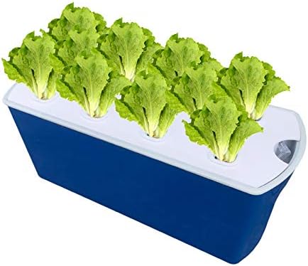 LAPOND Hydroponic System Growing Kit with Pump,10 Holes Soilless Cultivation Seeding Plant Grow Box for Leaf Vegetables and Fruits(10 Plant Sites)