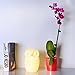 Mojocraft Serenity the Owl Battery Powered Decorative Claylike Night Light with Timer, Warm White
