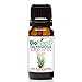 Biofinest Palmarosa Essential Oil - 100% Pure Organic Therapeutic Grade - Best for Aromatherapy, Skin Care, Ease Stress Anxiety Digestion Cold Flu Sore Throat Wounds Scars - Free E-Book (10ml)