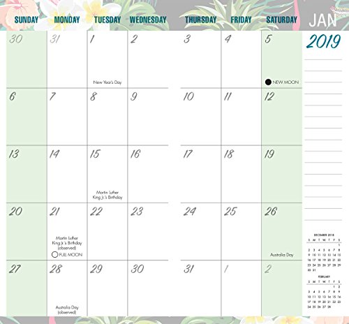 2019 Flamingo Two-Year-Plus Pocket Planner: by Sellers Publishing, 3.5 x 6.5; (CC-0550)