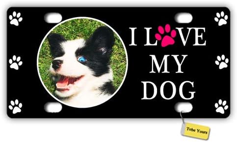 how do i get my dog licensed