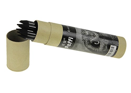 Artist Woodless Charcoal Pencils Professional Manga Non-wood Sketch Drawing Pencil Kit Charcoal Sticks Art Pencil Set Sketching Shading Pencils Black/Graphite for Beginners, Artists, Set of 10, Soft