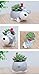 Youfui Cute Dog Flowerpot Resin Succulent Planter Desk Mini Ornament (Schnauzer Pot)