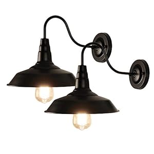 LynPon 2-pack zwanenhals boerderij schuur wandlamp armatuur, zwarte industriële vintage wandkandelaar, moderne wandlamp…