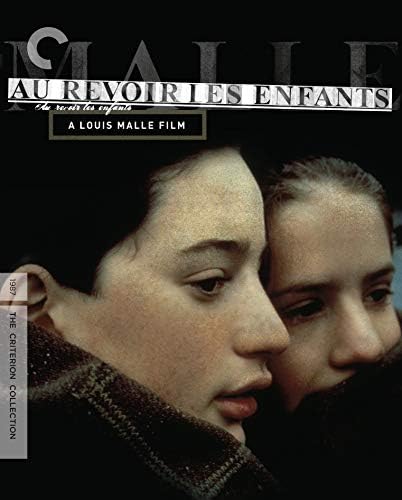 Amazon.com: Tout Va Bien (The Criterion Collection) [DVD] : Yves