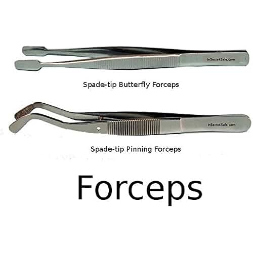 insect forceps