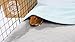 GuineaDad Original Reusable Cage Liner – Blue Fleece Bedding with Burrowing Pocket – Extra Absorbent Bamboo Core & Waterproof Bottom – Fits 2x3 C&C Guinea Pig Cages – Small Pet Supplies