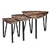 VASAGLE Industrial Nesting Coffee Table, Set of 3 End Table for Living Room, Stacking Side Tables, Sturdy and Easy Assembly, Wood Look Accent Furniture with Metal Frame primary