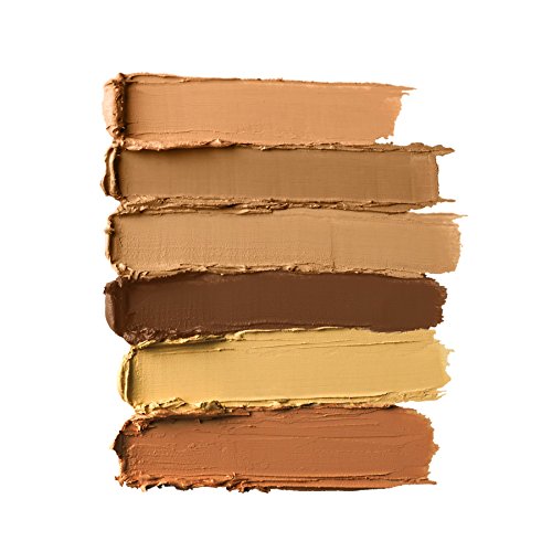 NYX PROFESSIONAL MAKEUP Conceal Correct Contour Palette, Deep, 0.05 Ounce