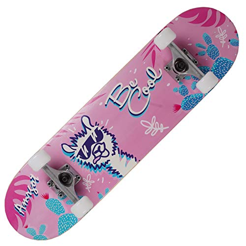 Amrgot Skateboards Pro 31 inches Complete Skateboards for Teens