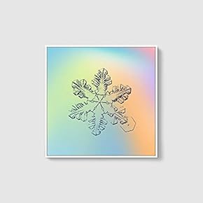 Framed Canvas Wall Art for Living Room, Bedroom Snowflake Theme Canvas Prints for Home Decoration Ready to Hang - 16x16 inches