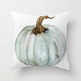 Blue Gray Cinderella Pumpkin Watercolor Decorative Polyester Decorative Throw Pillow Case Cushion Cover 18 x 18 inchs by Acelive pillowcase