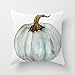 Blue Gray Cinderella Pumpkin Watercolor Decorative Polyester Decorative Throw Pillow Case Cushion Cover 18 x 18 inchs by Acelive pillowcase