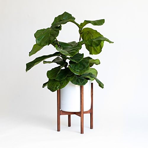Mid-Century Modern Planter, Plant Stand with 10" Ceramic Pot (Matte White)