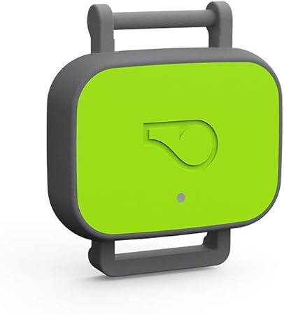 kong jumbler dog toy