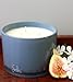 Solas Candles | Large Scented Candle Made from Natural Soy Wax | Enjoy The Essence of Scotland and Scottish Culture with The Fois Candle, Scented with The Aroma of White Jasmine and Fig