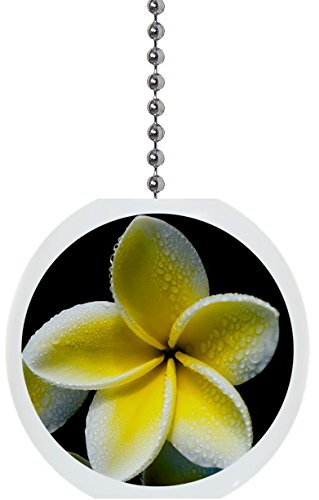 Plumeria Flower Solid Ceramic Fan Pull