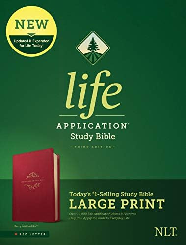 NLT Student Life Application Study Bible, Filament Enabled