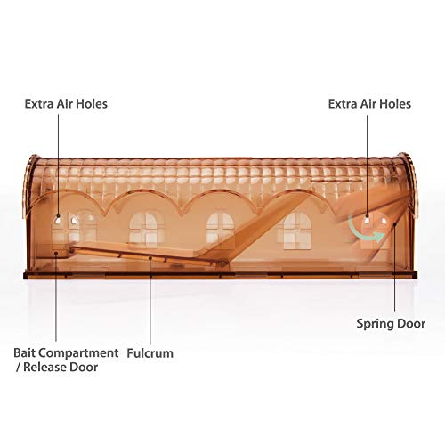 TerraBag Fabric Raised Garden Bed, 100 Gallon Grow Bag for Fruits