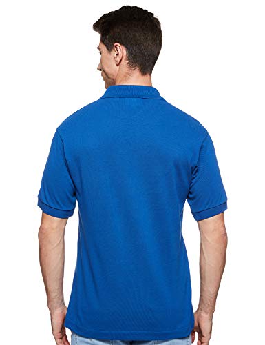 lacoste electric blue polo