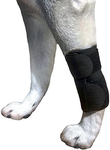 Dog Canine Front Leg Compression Brace Wrap Sleeve Protects Wounds Brace Heals and Prevents Injuries and Sprains Helps with Loss of Stability caused by Arthritis By My Pro Supports (XXS/XS)