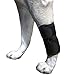 Dog Canine Front Leg Compression Brace Wrap Sleeve Protects Wounds Brace Heals and Prevents Injuries and Sprains Helps with Loss of Stability Caused by Arthritis by My Pro Supports (XXS/XS)