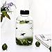 Fecihor Glass Water Bottle with Penguin Print -- Glass Beverage Bottles with Lids for Juicing or Beverage Storage Ideal Gift -600ml/21.2oz - Set of 1